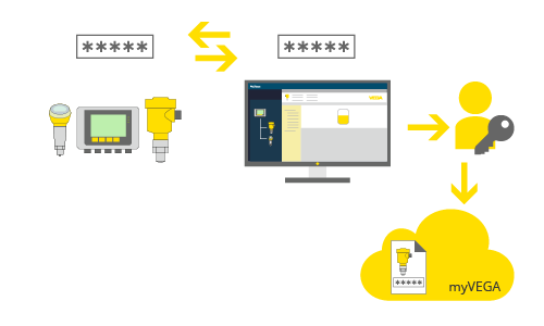 VEGA DTM collection function: PINs and Codes