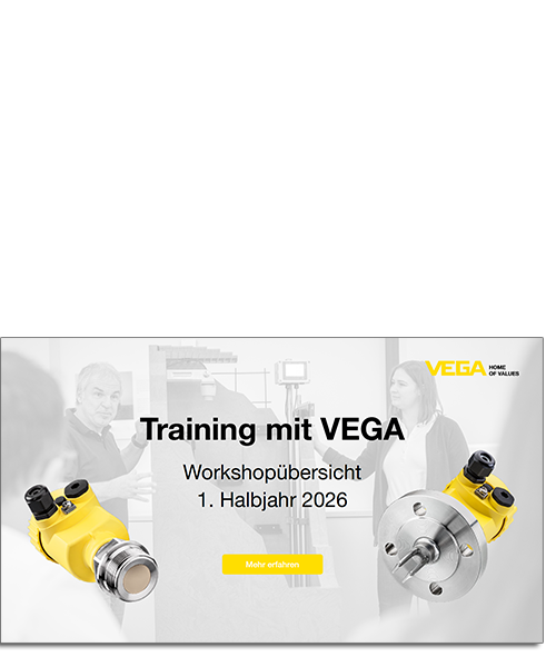 VEGA-Workshops